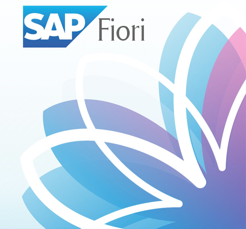 What is SAP experience?